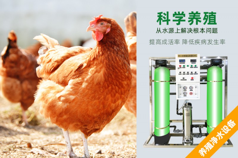 養(yǎng)雞場專用凈水設備,大型凈水器,純凈水設備