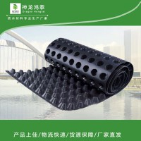 排水板的優(yōu)勢和性能