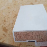 木質(zhì)防火門，河北防火門,生產(chǎn)防火門，閬閬防火門