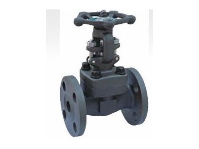 高溫閘閥 意威法蘭式鍛鋼高溫閘閥 上海